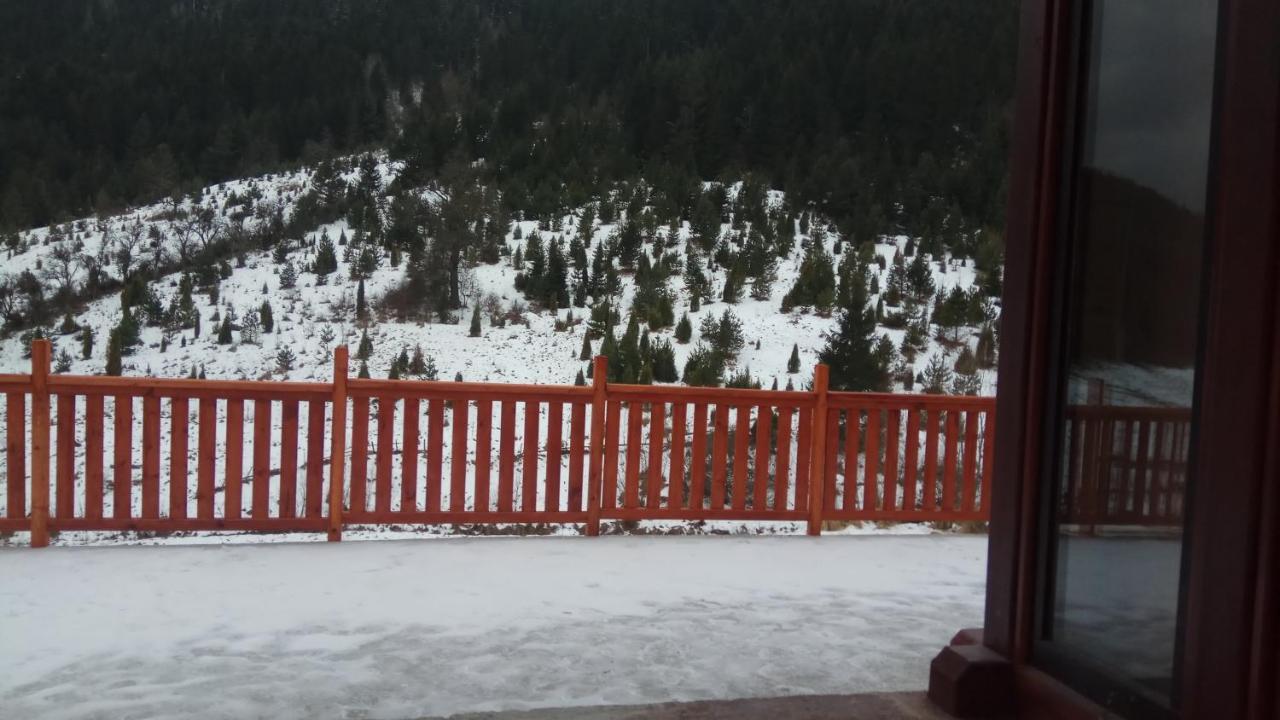 Villa Zaovinski Raj2 Tara